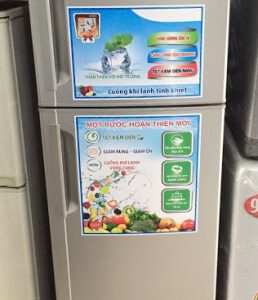 Tủ Lạnh cũ Electrolux ETB2600PA-RVN (260L)