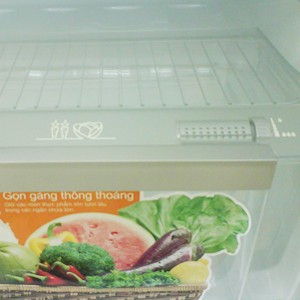 Tủ lạnh Electrolux ETB2300PC-RVN 230 lít Ngăn đá trên 2 cửa (a3)