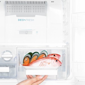 Tủ lạnh Electrolux ETB2300PC-RVN 230 lít (a1)