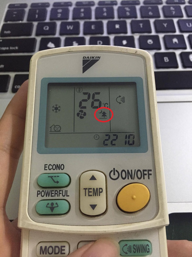 Ký hiệu cây thông Ký hiệu cây thông