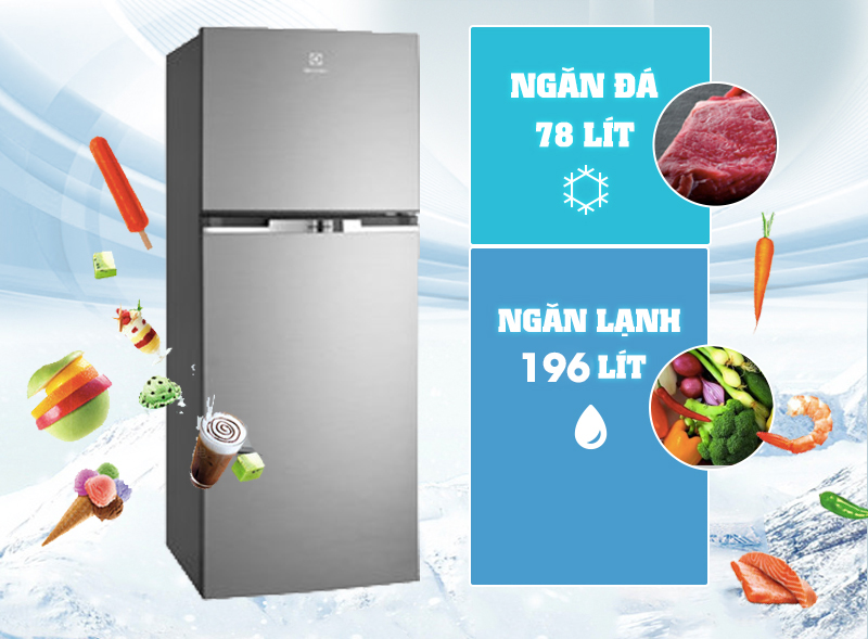 Tủ lạnh Electrolux ETB2600MG Tủ lạnh Electrolux ETB2600MG