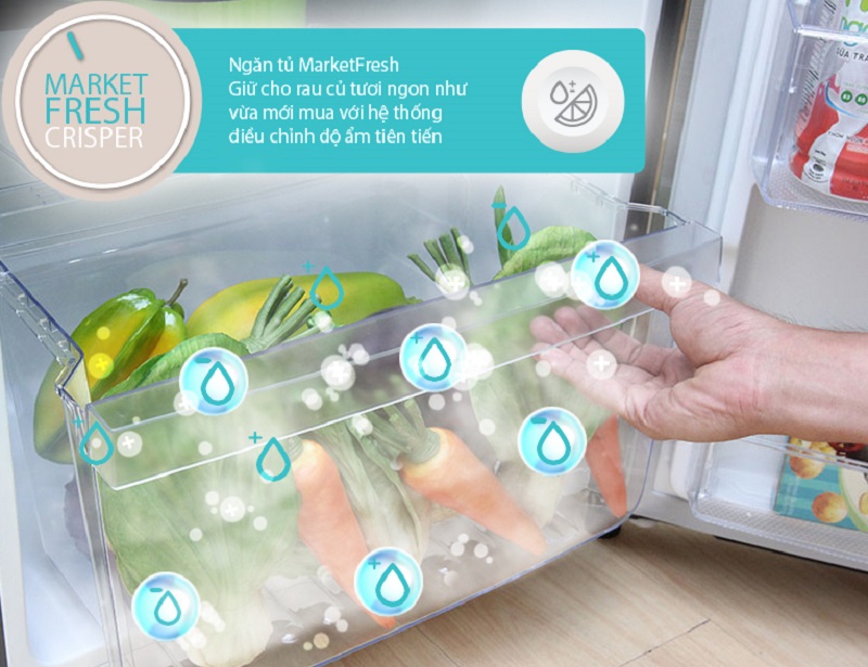 FreshMarket là ngăn tủ được thiết kế nhằm bảo vệ độ ẩm ổn định ở mức thích hợp FreshMarket là ngăn tủ được thiết kế nhằm bảo vệ độ ẩm ổn định ở mức thích hợp