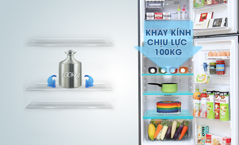 Tủ lạnh Electrolux ETB2600MG có khay kính chịu lực hiệu quả Tủ lạnh Electrolux ETB2600MG có khay kính chịu lực hiệu quả