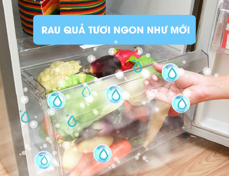Tủ lạnh LG GN-L205PS có ngăn rau quả với kích thước lớn Tủ lạnh LG GN-L205PS có ngăn rau quả với kích thước lớn