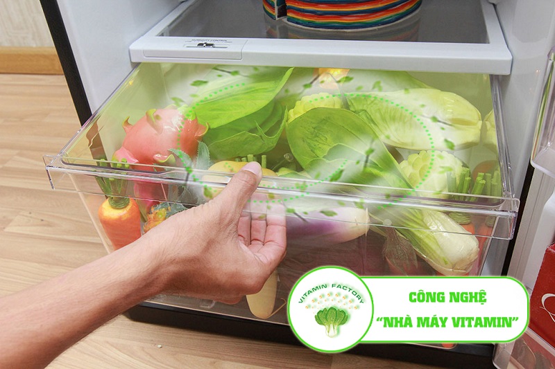 Ngăn rau củ của tủ lạnh Mitsubishi Electric MR-FV24J-BR-V được mệnh danh như một nhà máy Vitamin Ngăn rau củ của tủ lạnh Mitsubishi Electric MR-FV24J-BR-V được mệnh danh như một nhà máy Vitamin