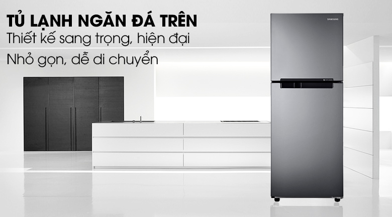 Tủ lạnh Samsung RT19M300BGS/SV Tủ lạnh Samsung RT19M300BGS/SV