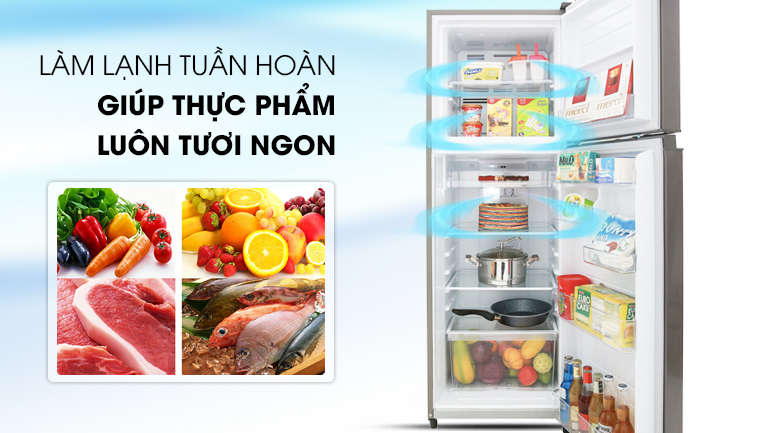 Công nghệ làm lạnh tuần hoàn hiện đại - Tủ lạnh Toshiba Inverter 233 lít GR-A28VS (DS) Công nghệ làm lạnh tuần hoàn hiện đại - Tủ lạnh Toshiba Inverter 233 lít GR-A28VS (DS)
