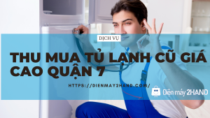 https://dienlanhtanphat.com.vn/